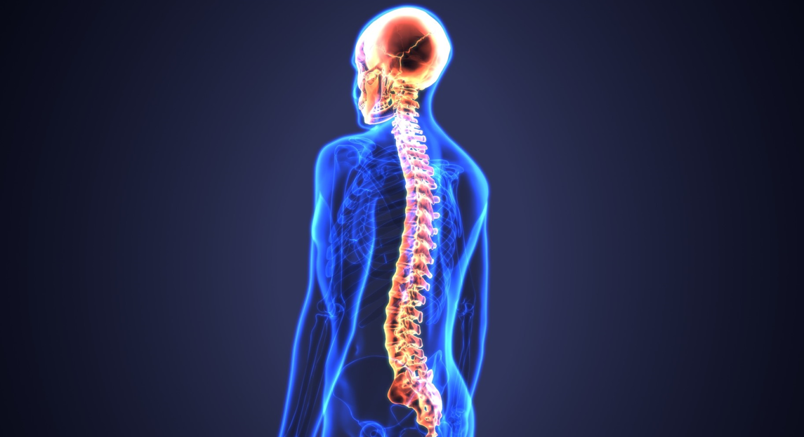 Steps In Selecting The Best Chiropractor For You