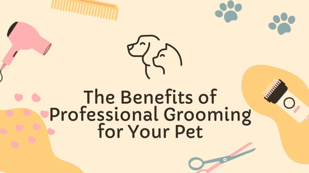 The Benefits of Professional Grooming for Your Pet