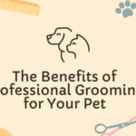 Benefits of Professional Grooming for Your Pet