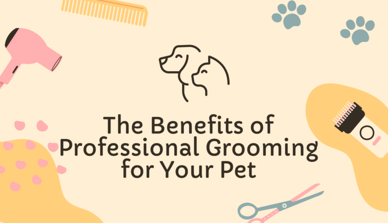 Benefits of Professional Grooming for Your Pet